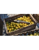 Mafia: The Old Country XBOX - АКТИВАЦИЯ