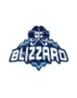Blizzard CA 100 CAD