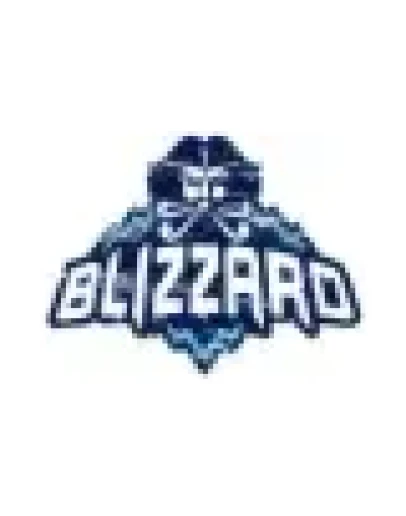 Blizzard CA 100 CAD