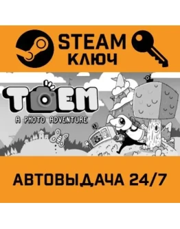 TOEM: A Photo Adventure. STEAM-ключ (Global)