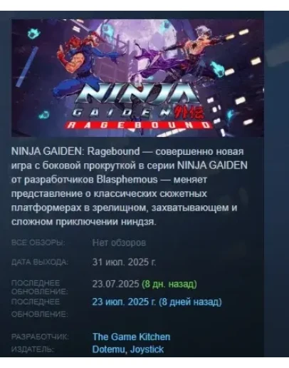 NINJA GAIDEN: Ragebound АВТОДОСТАВКА STEAM РОССИЯ
