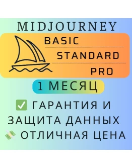 Midjourney (Standard / Pro) 1 1 Month
