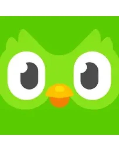 Duolingo Plus годовая подписка для одного пользователя