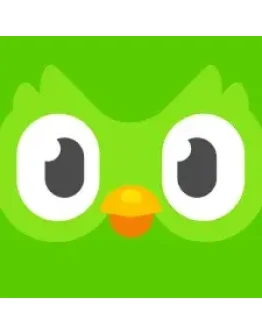 Duolingo Plus годовая подписка для одного пользователя