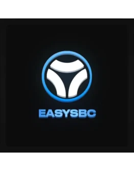Easysbc Подписка 30 дней/1 год