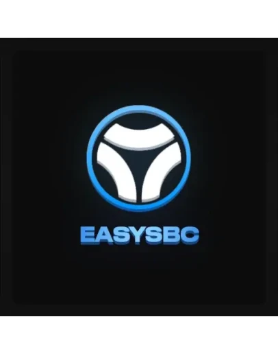 Easysbc Подписка 30 дней/1 год