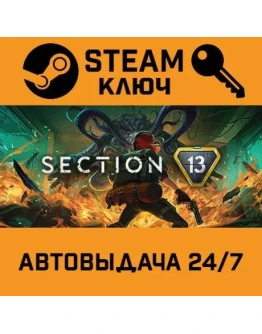 Section 13. STEAM-ключ (Global)