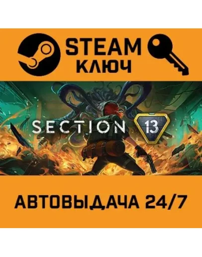 Section 13. STEAM-ключ (Global)