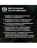 DISCORD NITRO 1-12 МЕСЯЦЕВ BASIC/FULL + 2 БУСТА