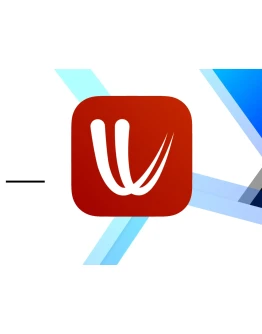 Windy Premium 1-3 месяца общий аккаунт