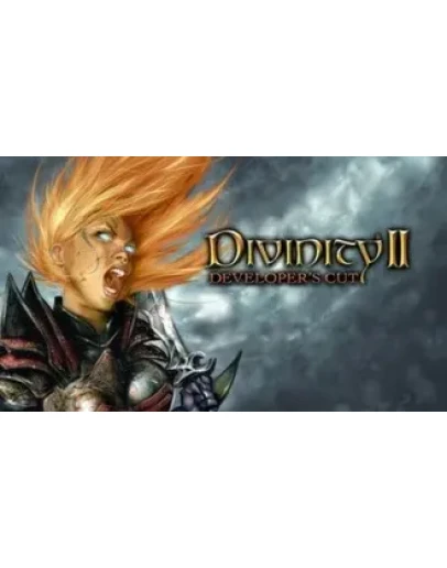 Divinity II: Developer's Cut STEAM GIFT ВСЕ СТРАНЫ