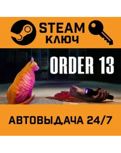ORDER 13. STEAM-ключ (Global)