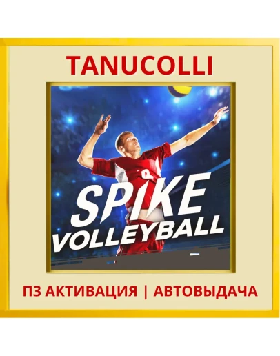 Spike Volleyball (PS4/PS5/RU) П3 - Активация