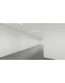 Twisted Gallery АВТОДОСТАВКА STEAM РОССИЯ