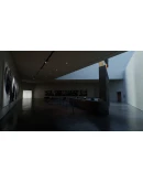 Twisted Gallery АВТОДОСТАВКА STEAM РОССИЯ