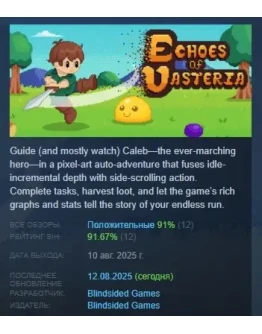 Echoes of Vasteria АВТОДОСТАВКА STEAM РОССИЯ