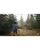 Noble Legacy * STEAM РОССИЯ АВТОДОСТАВКА 0 КАРТЫ