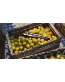 Mafia: The Old Country Deluxe Edition Xbox активация