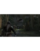 Forgotten Realms: Demon Stone АВТОДОСТАВКА STEAM РОССИЯ