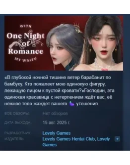 Одна Ночь АВТОДОСТАВКА STEAM РОССИЯ