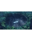 Stellar Code АВТОДОСТАВКА STEAM РОССИЯ