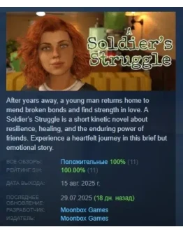 A Soldier's Struggle АВТОДОСТАВКА STEAM РОССИЯ