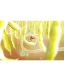 Botanicula. STEAM-ключ (Global)