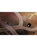 Botanicula. STEAM-ключ (Global)