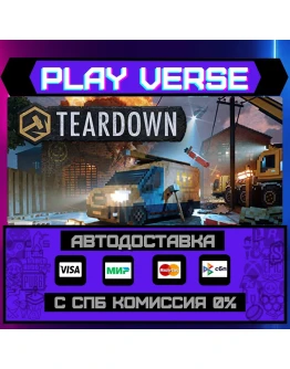 TeardownАВТОВЫДАЧАSTEAM GIFT