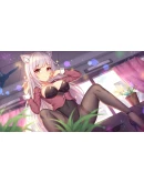 Pretty NekoАВТОВЫДАЧАSTEAM GIFT