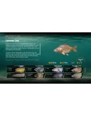The Catch: Carp &amp Coarse FisАВТОВЫДАЧАSTEAM G