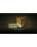 FireworkАВТОВЫДАЧАSTEAM GIFT