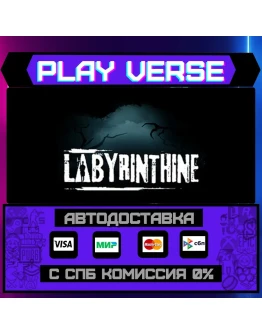 LabyrinthineАВТОВЫДАЧАSTEAM GIFT