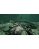 Death in the Water 2АВТОВЫДАЧАSTEAM GIFT