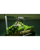 Fish GameАВТОВЫДАЧАSTEAM GIFT Fish GameАВТОВЫДАЧАSTEAM GIFT