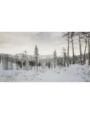 ErzurumАВТОВЫДАЧАSTEAM GIFT