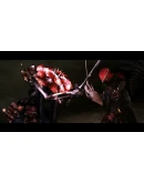 Perennial OrderАВТОВЫДАЧАSTEAM GIFT