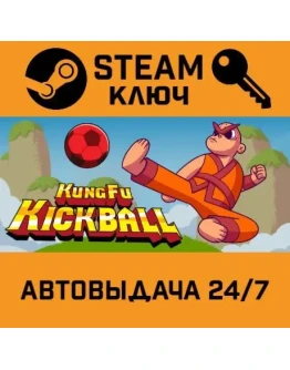KungFu Kickball STEAM РФ,др.страны+подарок