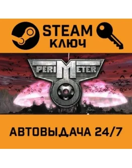 Perimeter STEAM РФ,др.страны+подарок Perimeter STEAM РФ,др.страны+подарок