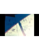 Sisters: Last Day of SummerАВТОВЫДАЧАSTEAM GI