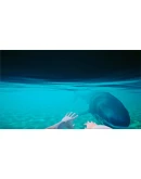 Beach Club Simulator 2024АВТОВЫДАЧАSTEAM GIFT