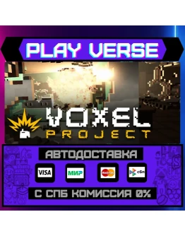 Voxel Project VRАВТОВЫДАЧАSTEAM GIFT
