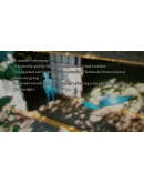 Kanna MazeАВТОВЫДАЧАSTEAM GIFT