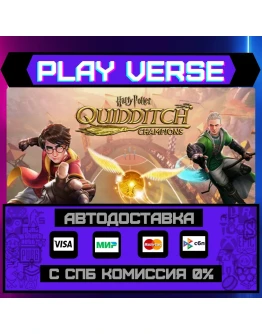 Harry Potter: Quidditch ChamАВТОВЫДАЧАSTEAM G