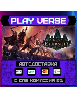 Pillars of EternityАВТОВЫДАЧАSTEAM GIFT