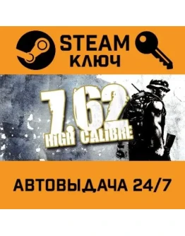 7,62 High Calibre STEAM РФ,др.страны+подарок