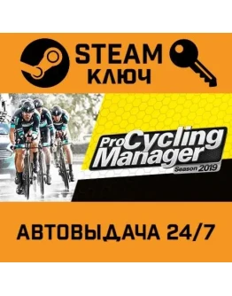 Pro Cycling Manager 2019 STEAM РФ,др.страны+подарок