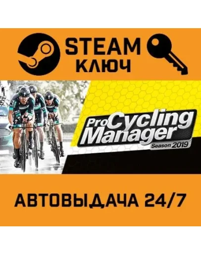 Pro Cycling Manager 2019 STEAM РФ,др.страны+подарок