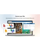 File Viewer Plus Annual Subscription 1 год Microsoft File Viewer Plus Annual Subscription 1 год Microsoft