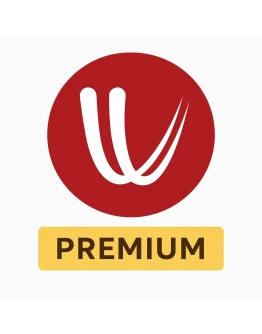 Windy Premium 1 Month Instant Delivery